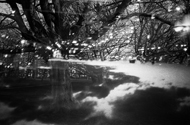 Amsterdam rembrantpark