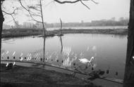 Amsterdam sloterpark