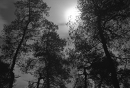 3 veluwe